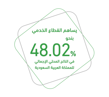 المشروع كفرصة استثمارية