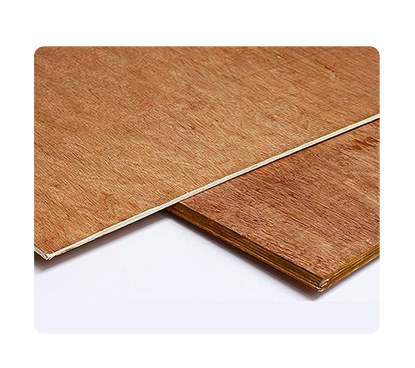 منتجات المشروع